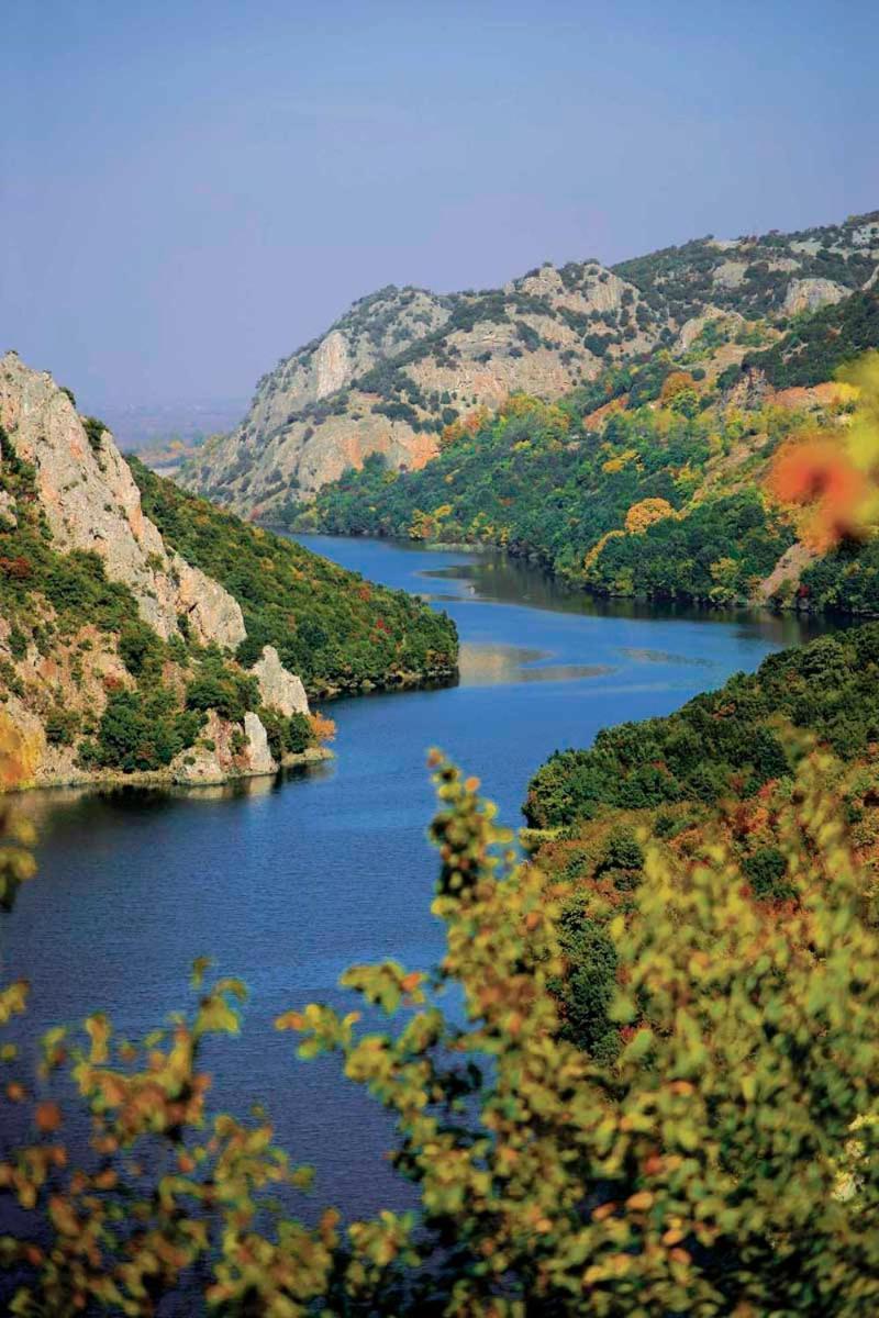 Εσπερίδες Hotel Naousa  Екстериор снимка